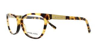 3119 Tokyo Tortoise