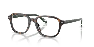 5003 Shiny Dark Havana