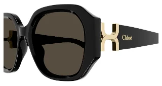 Chloe Sunglasses CH0236S