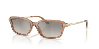 637708 Transparent Dusty Brown