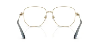 Dolce & Gabbana Eyeglasses DG1356