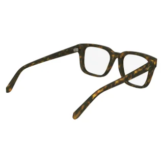 Salvatore Ferragamo Eyeglasses SF2996