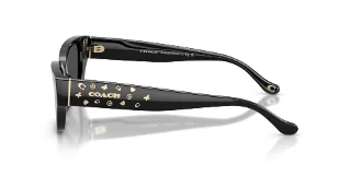 Coach Sunglasses HC8439U