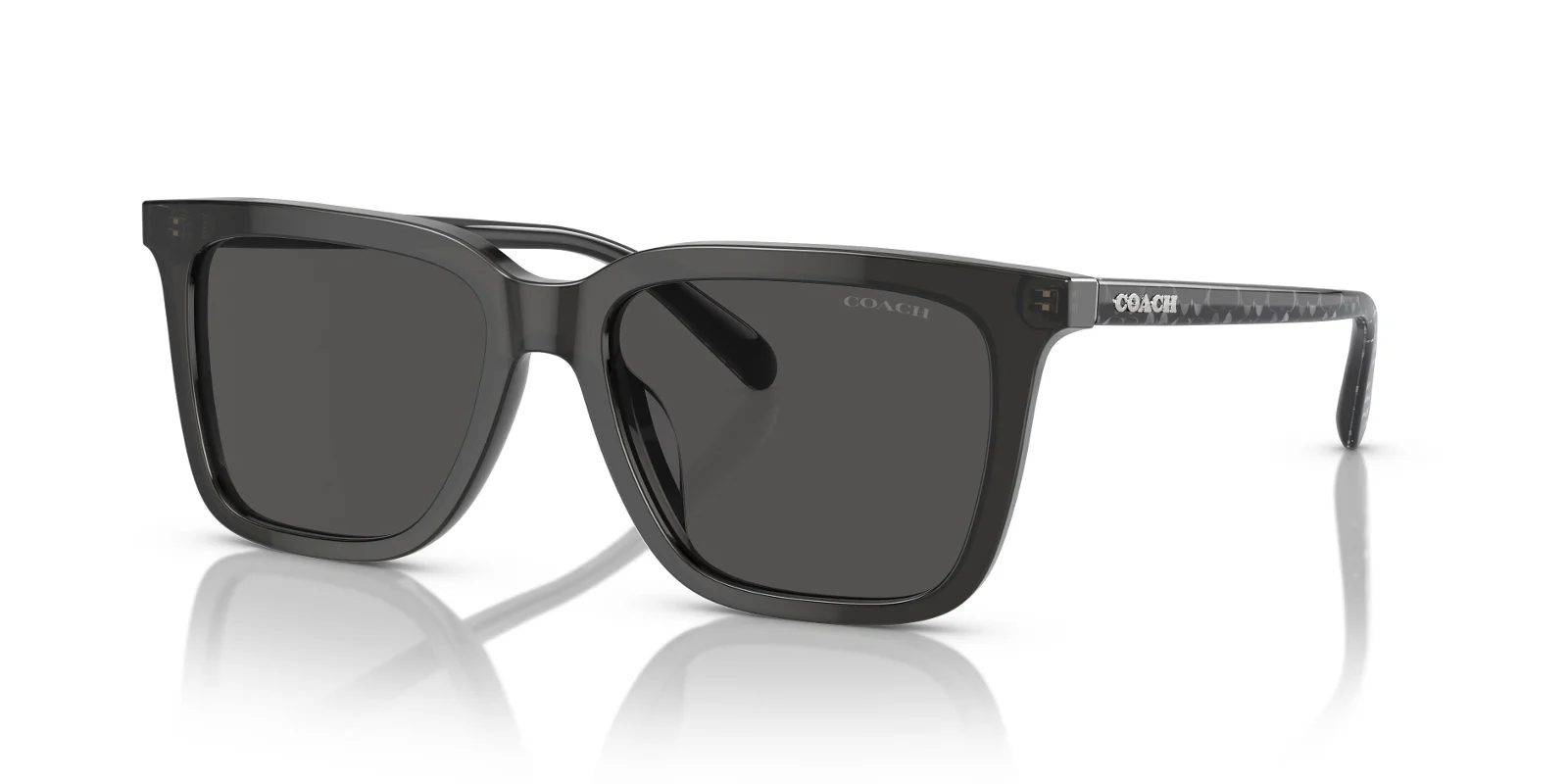 Coach Sunglasses HC8385U