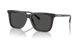 Coach Sunglasses HC8385U