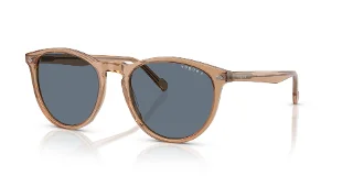 31894Y Transparent Brown