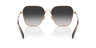 Coach Sunglasses HC7168