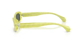 Alain Mikli Sunglasses A05512