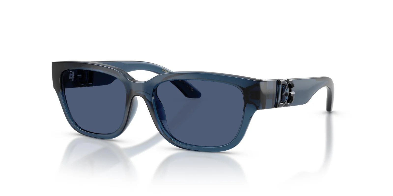 Dolce & Gabbana Sunglasses DX6009