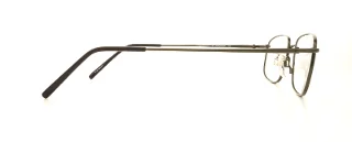 Flexon Eyeglasses 610