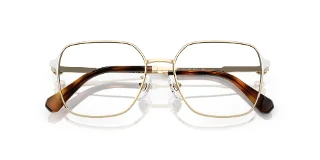 Swarovski Eyeglasses SK1020D