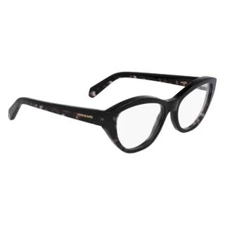 Salvatore Ferragamo Eyeglasses SF3011