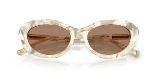 Dolce & Gabbana Sunglasses DG4519