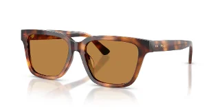 635593 Shiny Tortoise