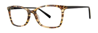 Vera Wang Eyeglasses V590