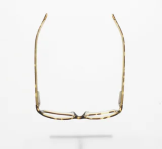 Polo Eyeglasses PP8502