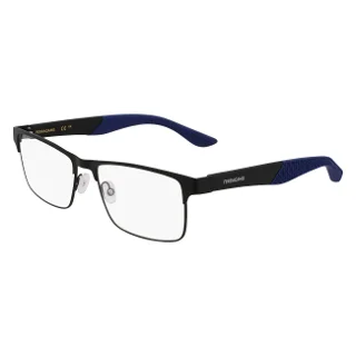Salvatore Ferragamo Eyeglasses SF2216N