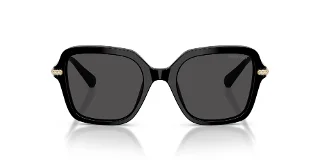 Swarovski Sunglasses SK6040