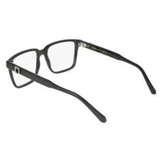 Salvatore Ferragamo Eyeglasses SF3028E