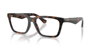 3002 Dark Havana
