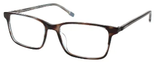 Tortoise Laminate