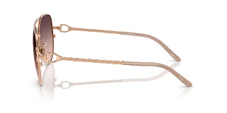 Ralph Lauren Sunglasses RL7087