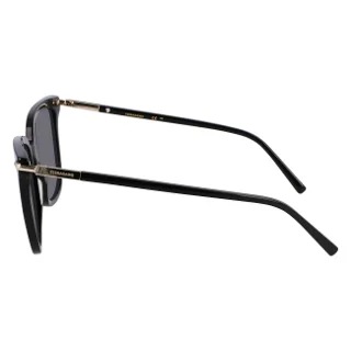 Salvatore Ferragamo Sunglasses SF2037S