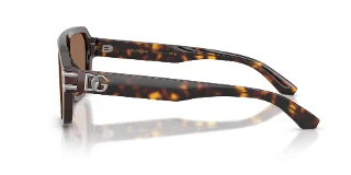 Dolce & Gabbana Sunglasses DG4507
