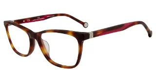 Tortoise (0752)
