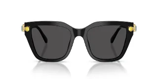 Swarovski Sunglasses SK6041