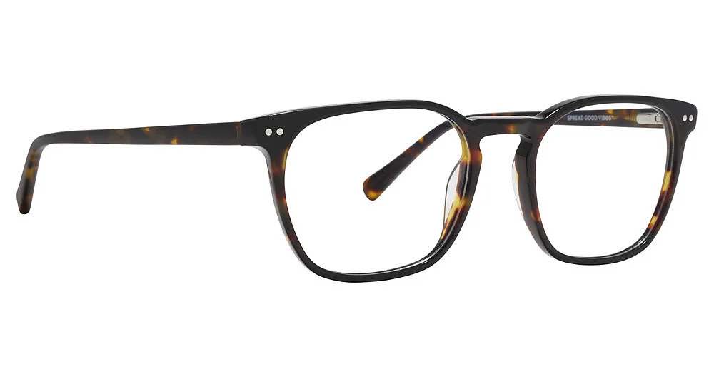 Life Is Good Eyeglasses LG Bryan