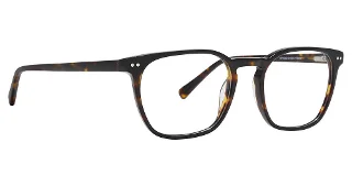 Life Is Good Eyeglasses LG Bryan