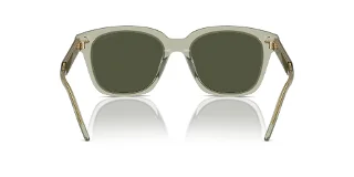 Giorgio Armani Sunglasses AR8210U