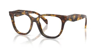 14L1O1 Honey Tortoise