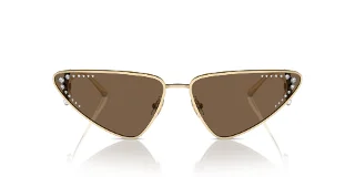 Jimmy Choo Sunglasses JC4001B