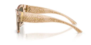Dolce & Gabbana Sunglasses DG4493