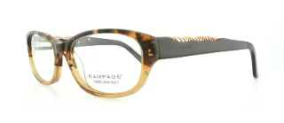 F03 Brown Tortoise