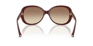 Giorgio Armani Sunglasses AR8047
