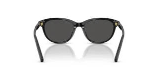 Dolce & Gabbana Sunglasses DX4010
