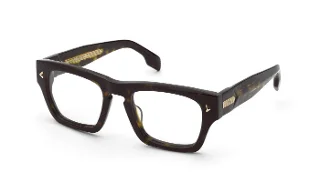 Shiny Dark Havana (0722)
