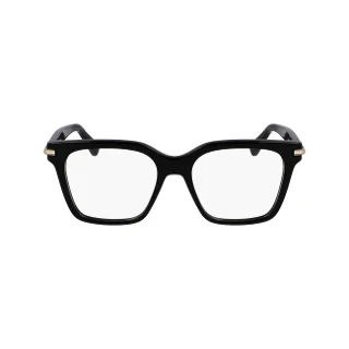 Salvatore Ferragamo Eyeglasses SF3009