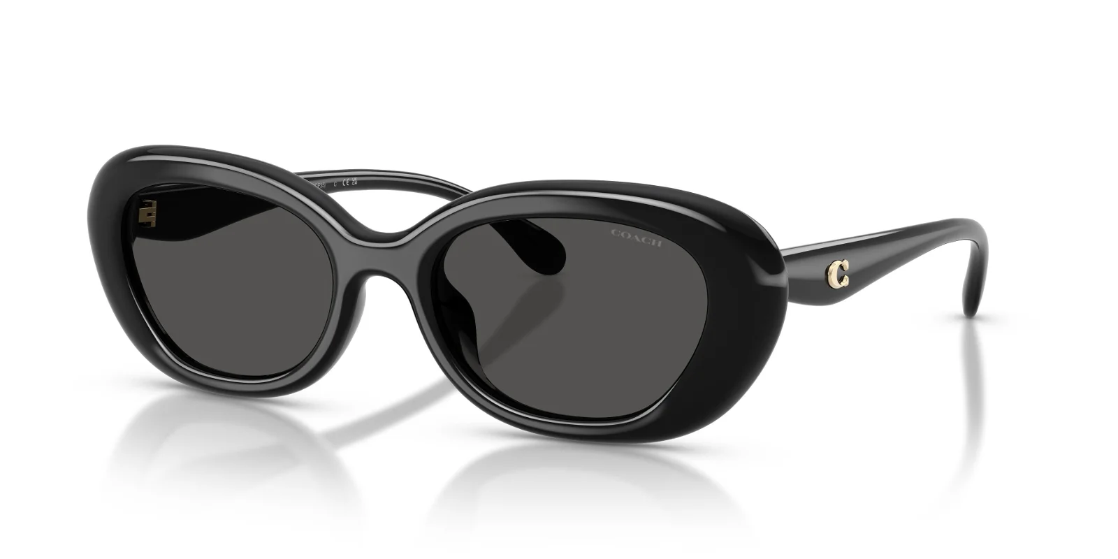 Coach Sunglasses HC8448U