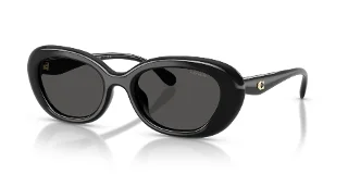 Coach Sunglasses HC8448U
