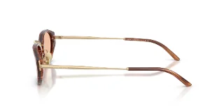Giorgio Armani Sunglasses AR8242