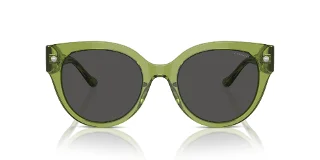 Coach Sunglasses HC8393U
