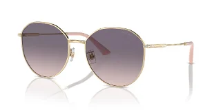 Jimmy Choo Sunglasses JC4007BD
