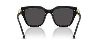 Swarovski Sunglasses SK6041