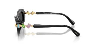 Swarovski Sunglasses SK6042