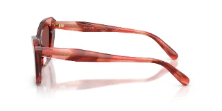 Coach Sunglasses HC8452U