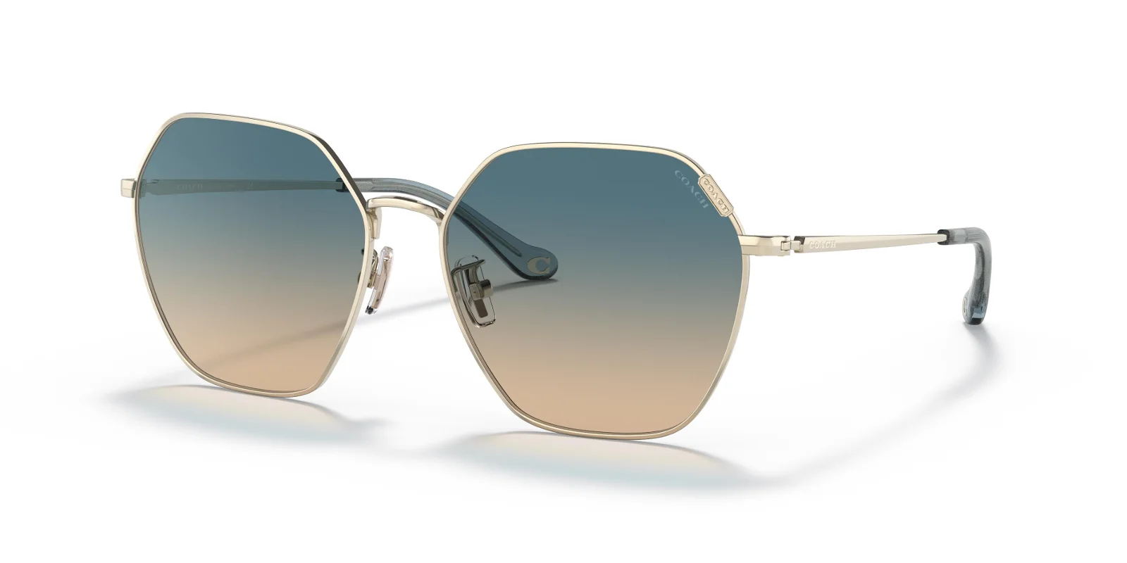 Coach Sunglasses HC7132